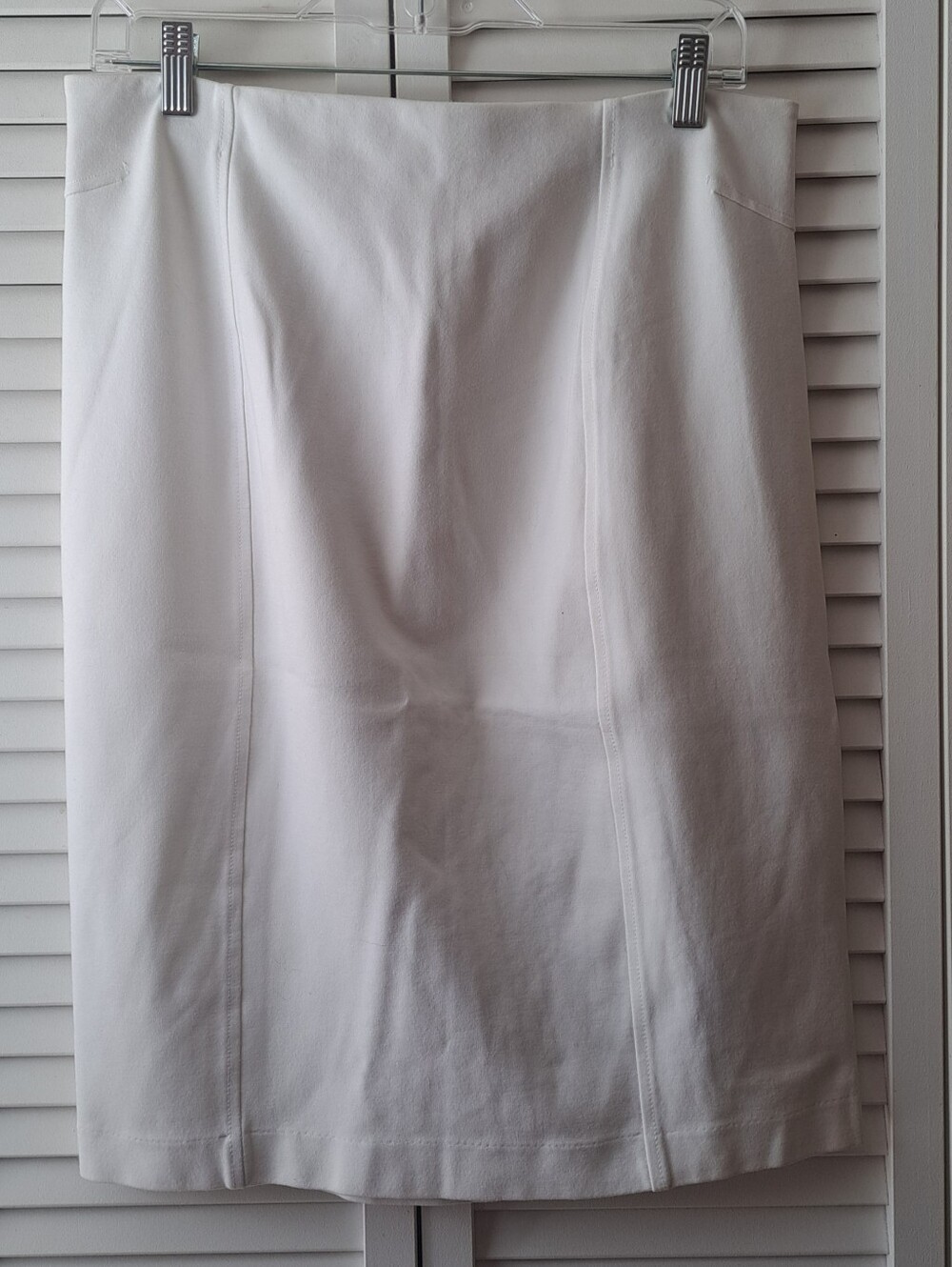 Premise Skirt